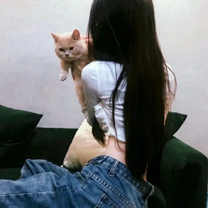 摸骨大师